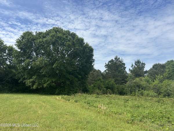 9 Acres of Residential Land for Sale in Foxworth, Mississippi