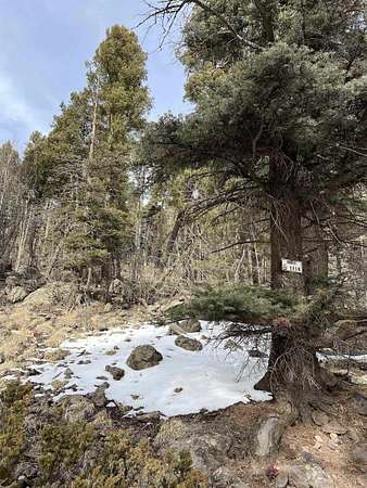 0.77 Acres of Residential Land for Sale in Angel Fire, New Mexico