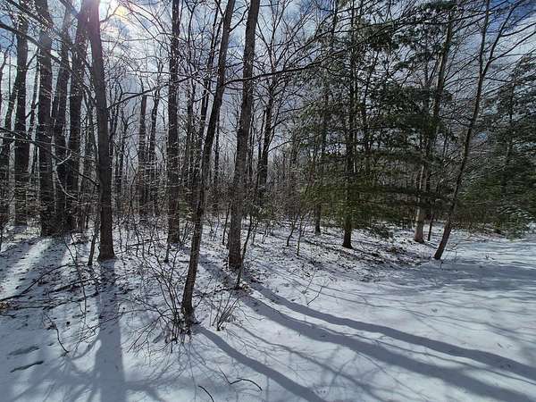 0.63 Acres of Residential Land for Sale in Roscommon, Michigan