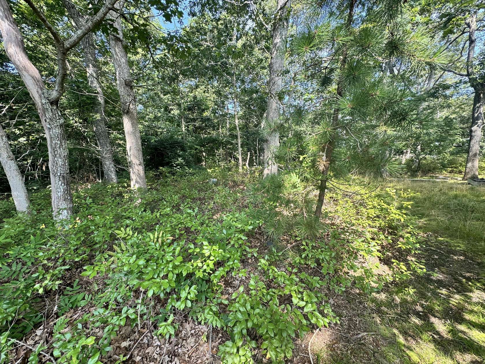 0.39 Acres of Residential Land for Sale in Oak Bluffs, Massachusetts