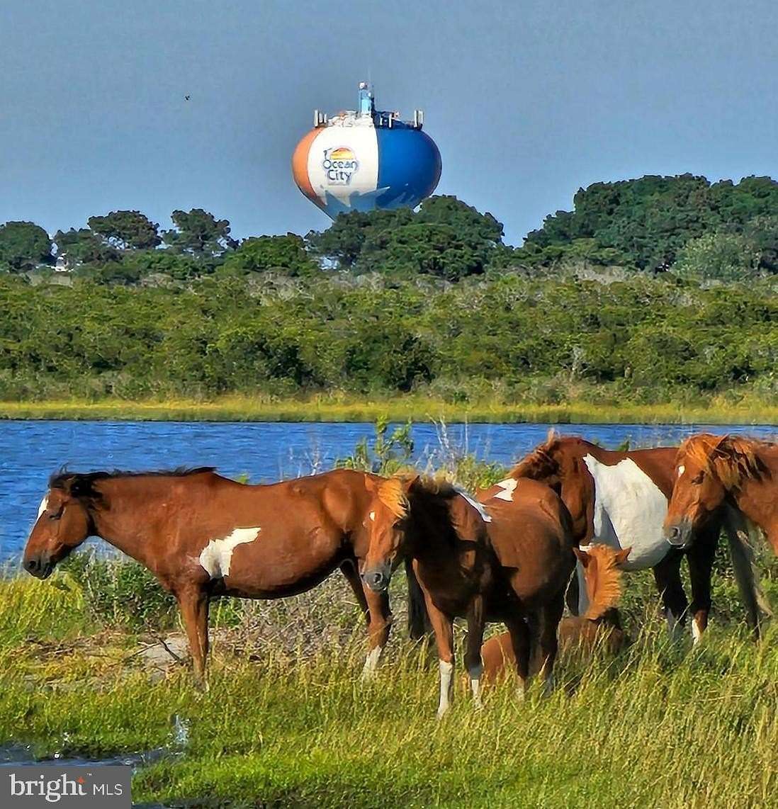 0.32 Acres of Land for Sale in Ocean City, Maryland