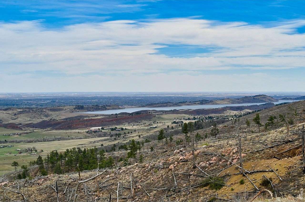 49.5 Acres of Recreational & Residential Land for Sale in Bellvue, Colorado