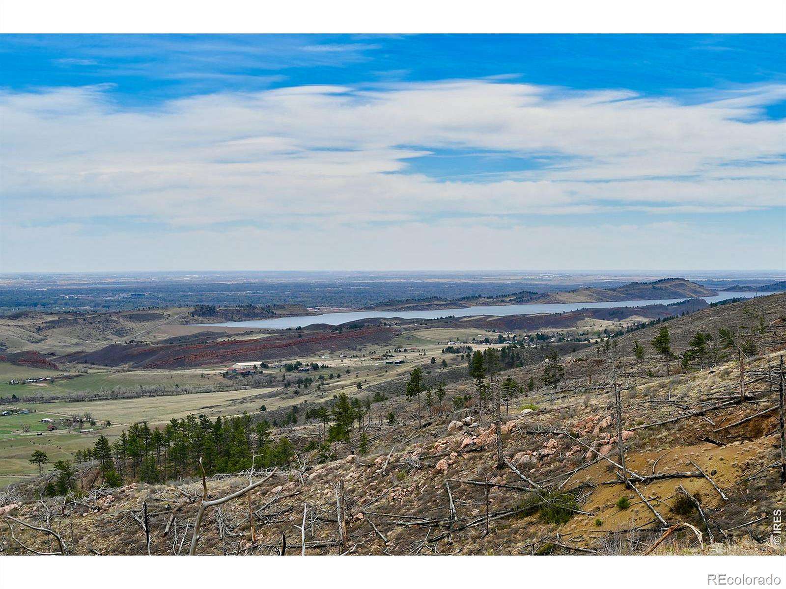 49.5 Acres of Recreational & Residential Land for Sale in Bellvue, Colorado