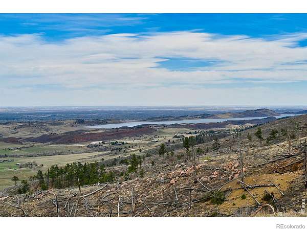 49.5 Acres of Recreational & Residential Land for Sale in Bellvue, Colorado