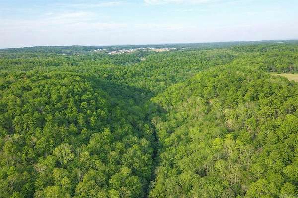 20 Acres of Recreational Land for Sale in Pottsville, Arkansas