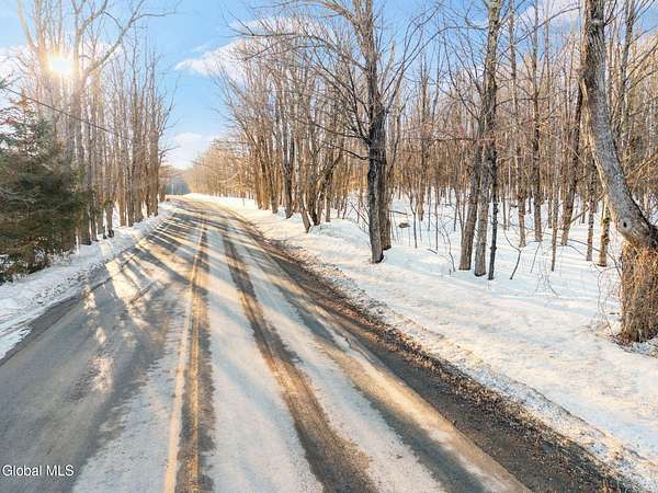 25.4 Acres of Recreational & Residential Land for Sale in Preston Hollow, New York