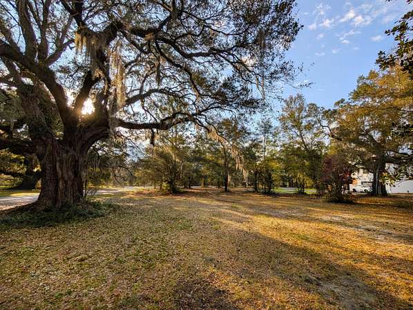 1 Acre of Residential Land for Sale in McClellanville, South Carolina
