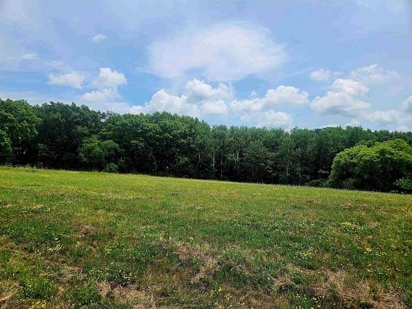 2 Acres of Residential Land for Sale in Freedom Township, Illinois