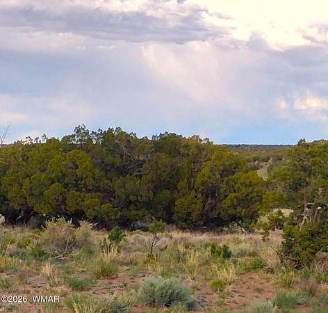 76 Acres of Recreational & Residential Land for Sale in St. Johns, Arizona