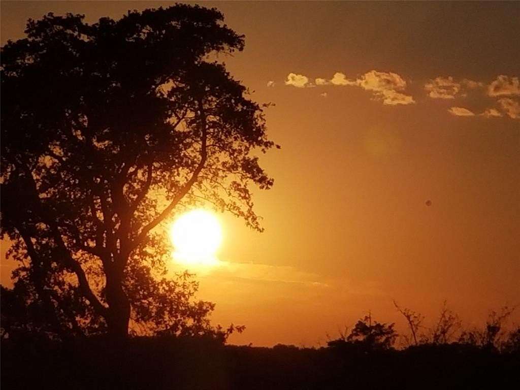 81 Acres of Recreational Land for Sale in Chandler, Texas