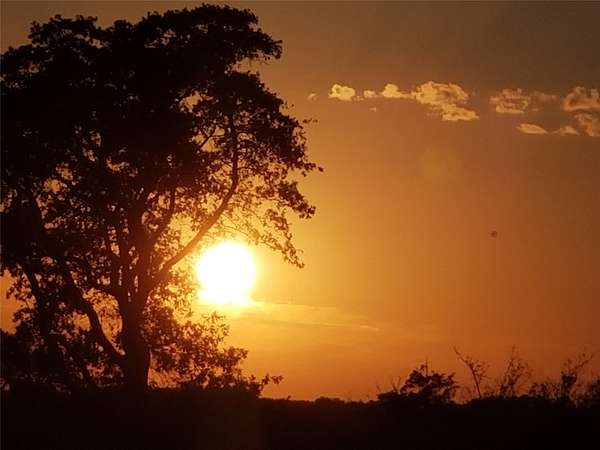 81 Acres of Land for Sale in Chandler, Texas