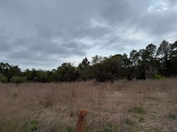 1.16 Acres of Residential Land for Sale in Crystal River, Florida