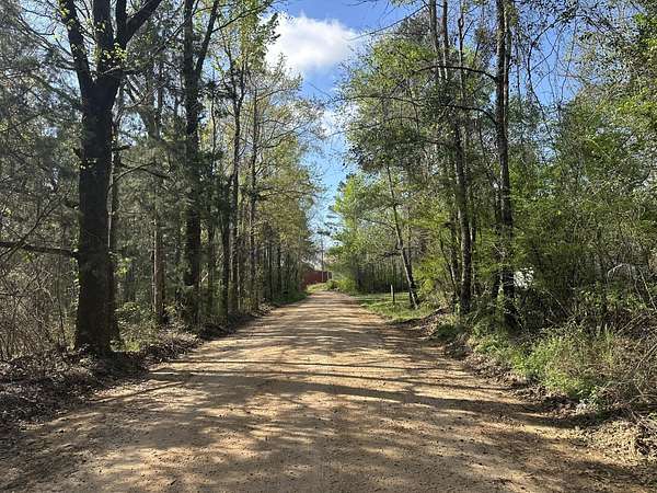 3 Acres of Residential Land for Sale in Frisco City, Alabama