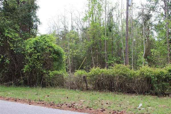 29.7 Acres of Recreational Land for Sale in Athens, Texas