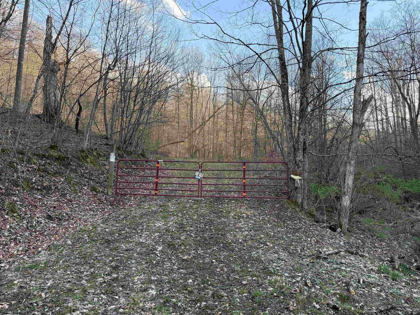 36.3 Acres of Recreational & Residential Land for Sale in Volga, West Virginia