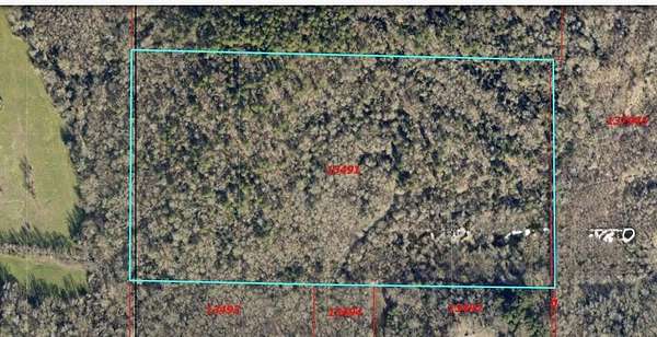 35 Acres of Land for Sale in Winnsboro, Texas