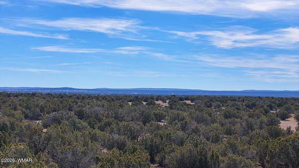 5 Acres of Residential Land for Sale in Show Low, Arizona