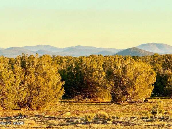 5 Acres of Residential Land for Sale in Show Low, Arizona