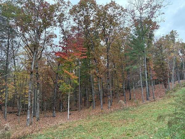0.87 Acres of Residential Land for Sale in Morganton, Georgia