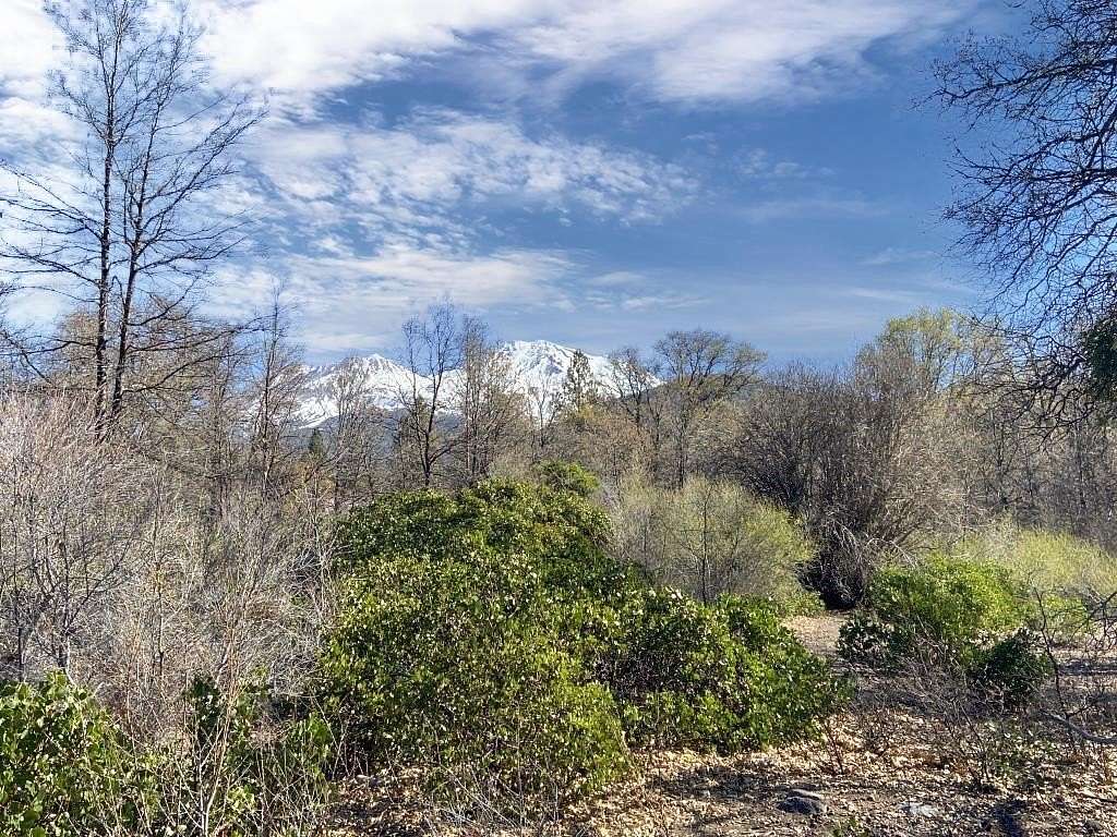 2.65 Acres of Residential Land for Sale in Mount Shasta, California