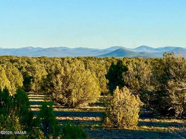 5 Acres of Residential Land for Sale in Show Low, Arizona