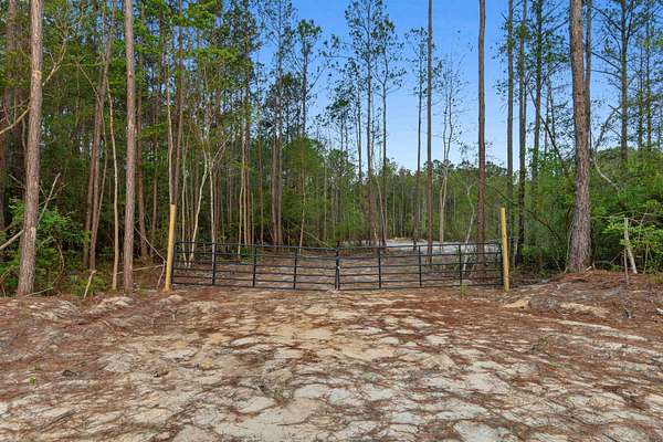 5 Acres of Residential Land for Sale in Georgetown, South Carolina