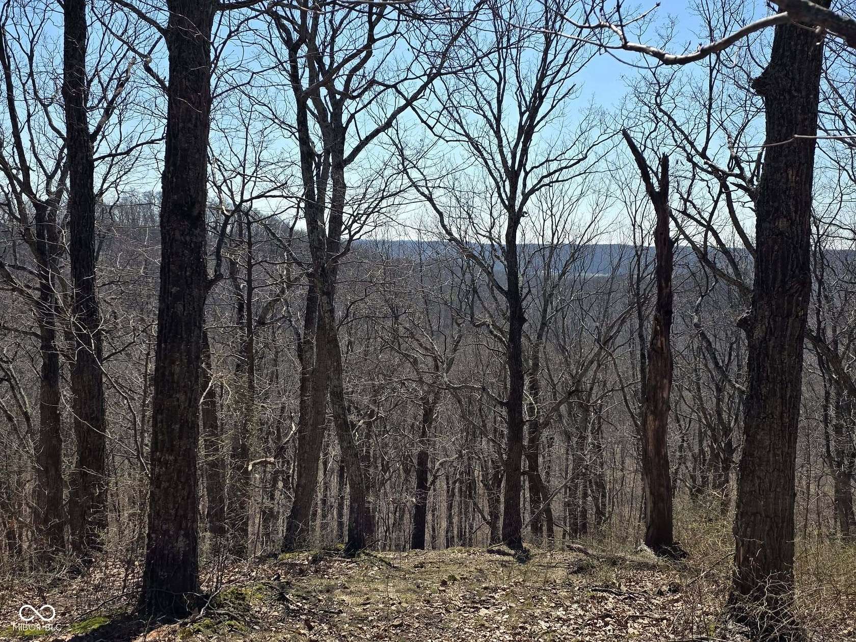 80 Acres of Land for Sale in Scottsburg, Indiana