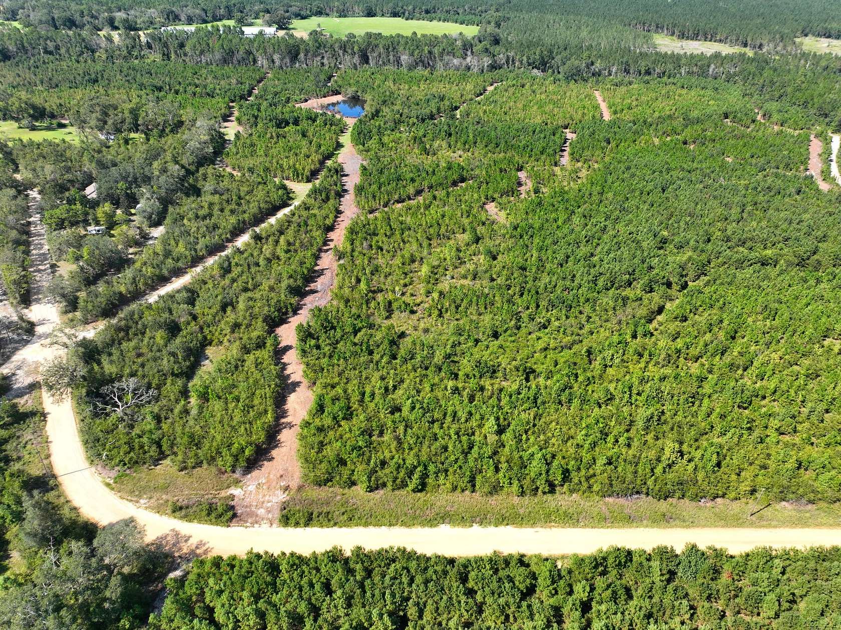 9 Acres of Recreational Land for Sale in Lyons, Georgia