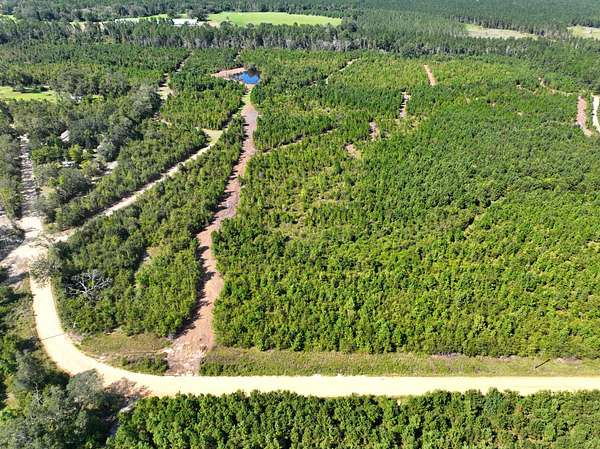 9 Acres of Recreational Land for Sale in Lyons, Georgia