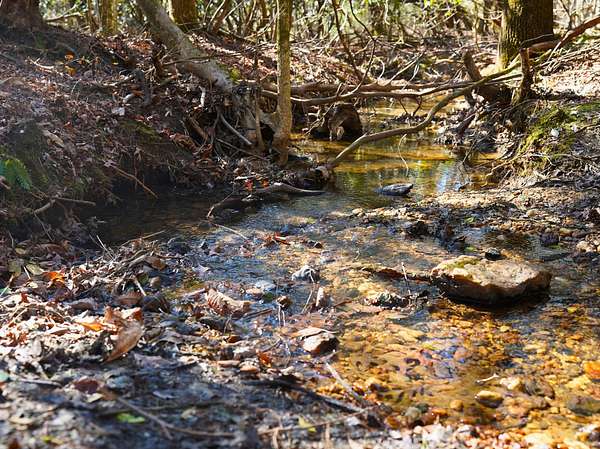 3 Acres of Land for Sale in Lowgap, North Carolina