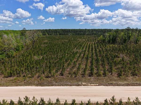 25.1 Acres of Recreational Land for Sale in White Oak, Georgia