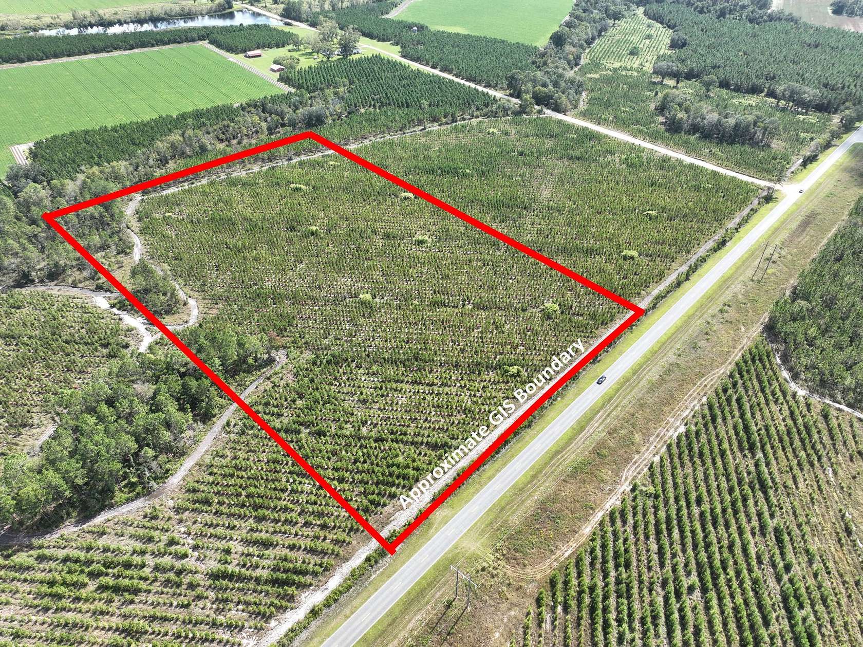 14 Acres of Recreational & Residential Land for Sale in Waycross, Georgia
