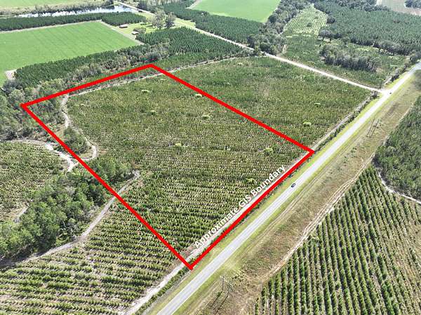 14 Acres of Recreational & Residential Land for Sale in Waycross, Georgia