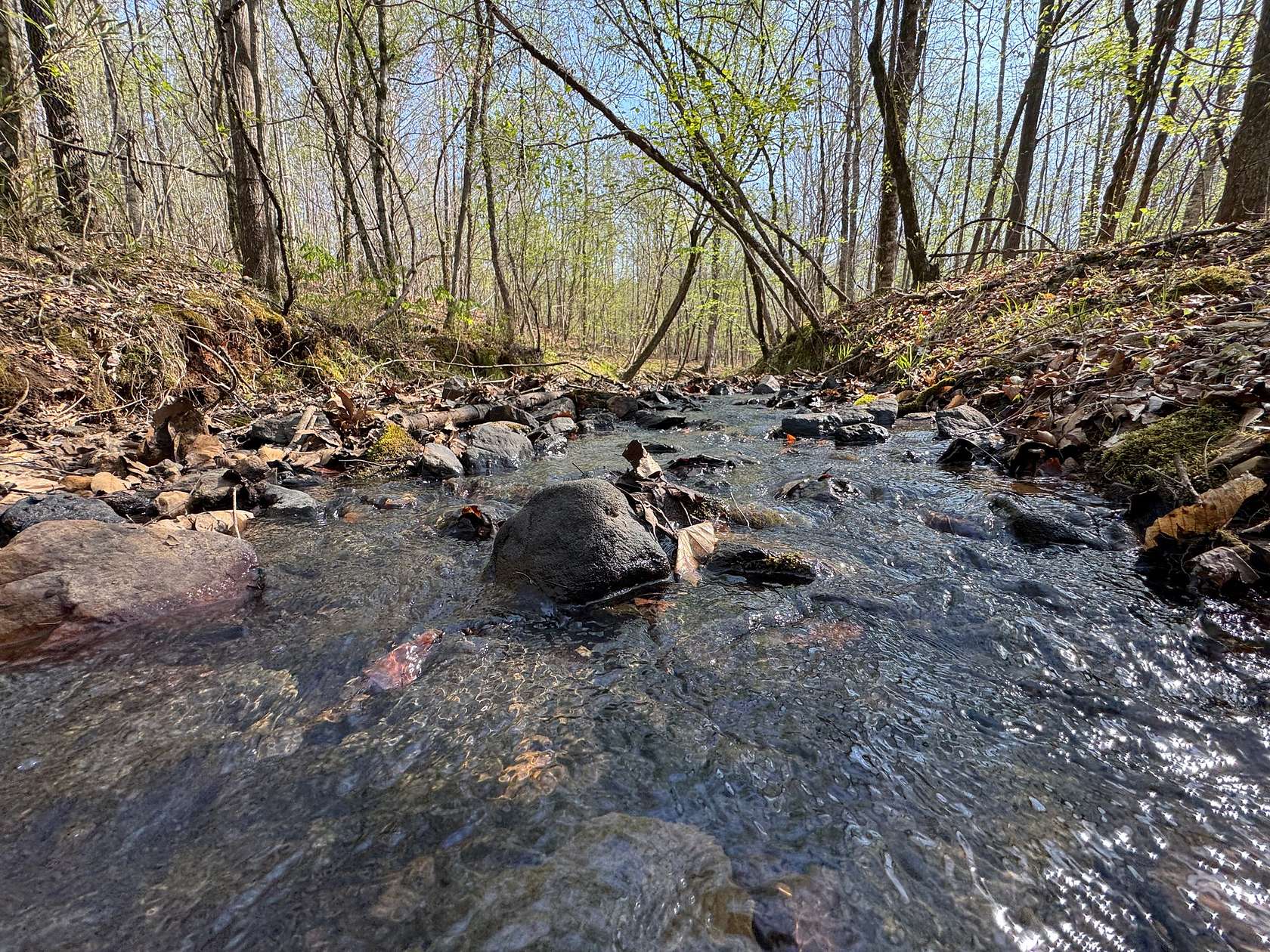 64 Acres of Recreational & Residential Land for Sale in Dadeville, Alabama