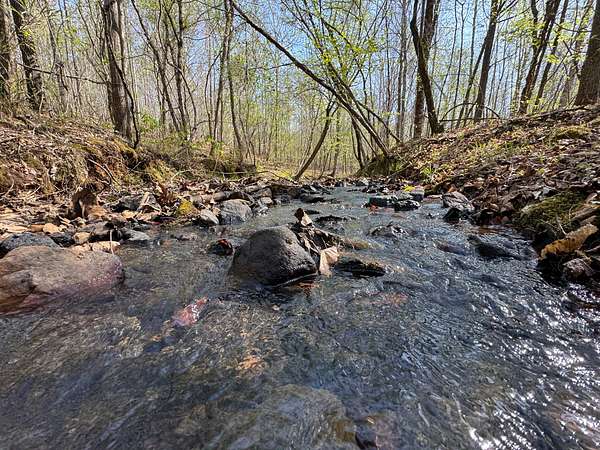 64 Acres of Recreational & Residential Land for Sale in Dadeville, Alabama