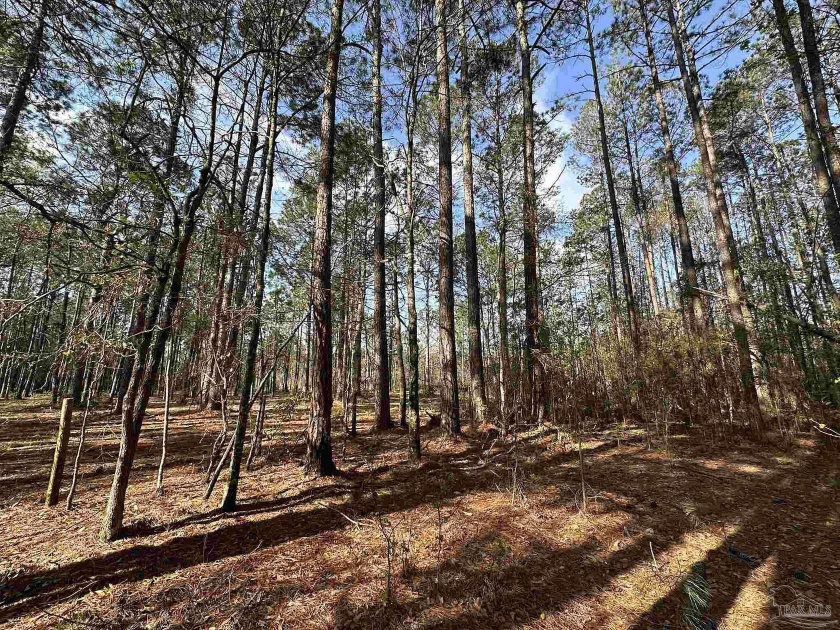 1 Acre of Residential Land for Sale in Frisco City, Alabama