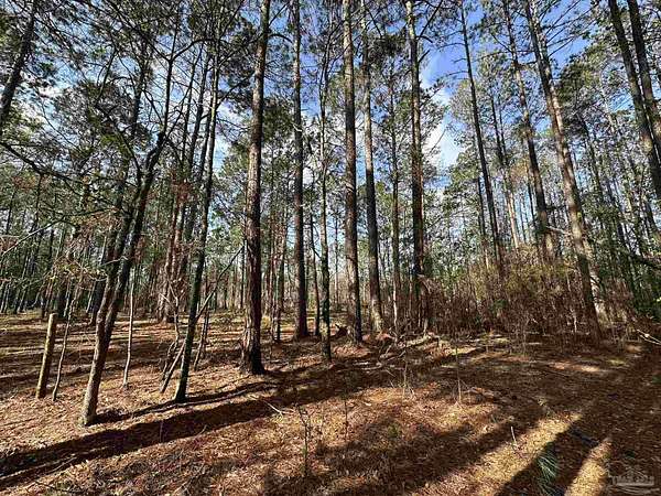 1 Acre of Residential Land for Sale in Frisco City, Alabama