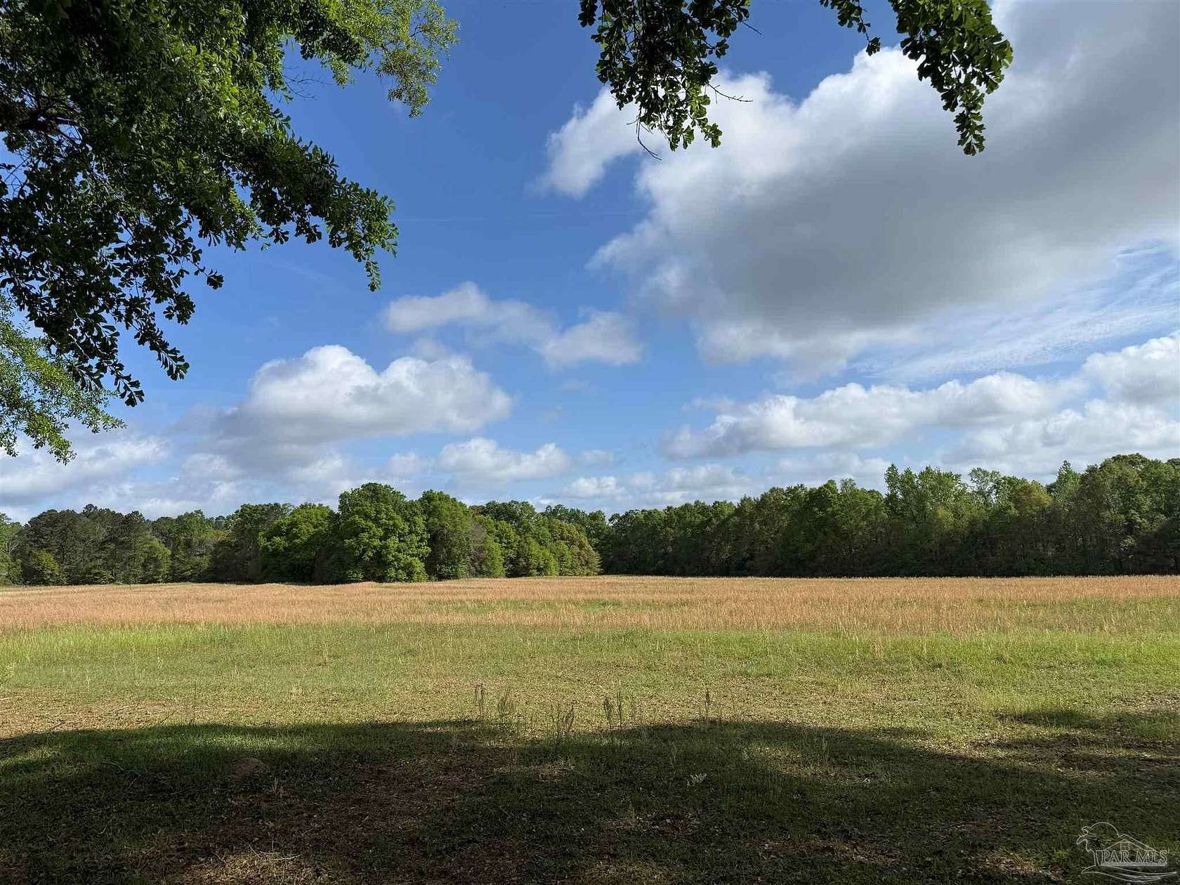 23.3 Acres of Land for Sale in Century, Florida
