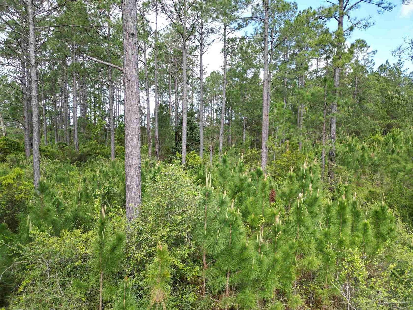 16.5 Acres of Recreational & Residential Land for Sale in Century, Florida