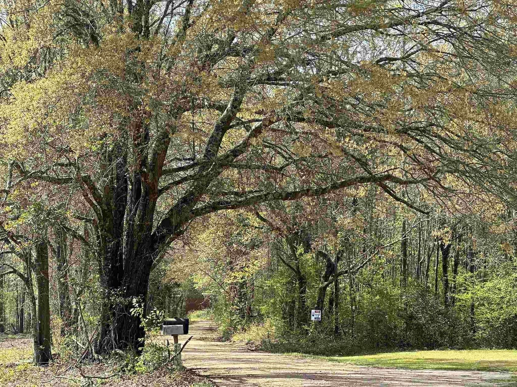 3.2 Acres of Residential Land for Sale in Frisco City, Alabama