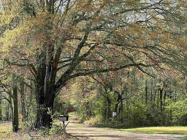 3.2 Acres of Residential Land for Sale in Frisco City, Alabama