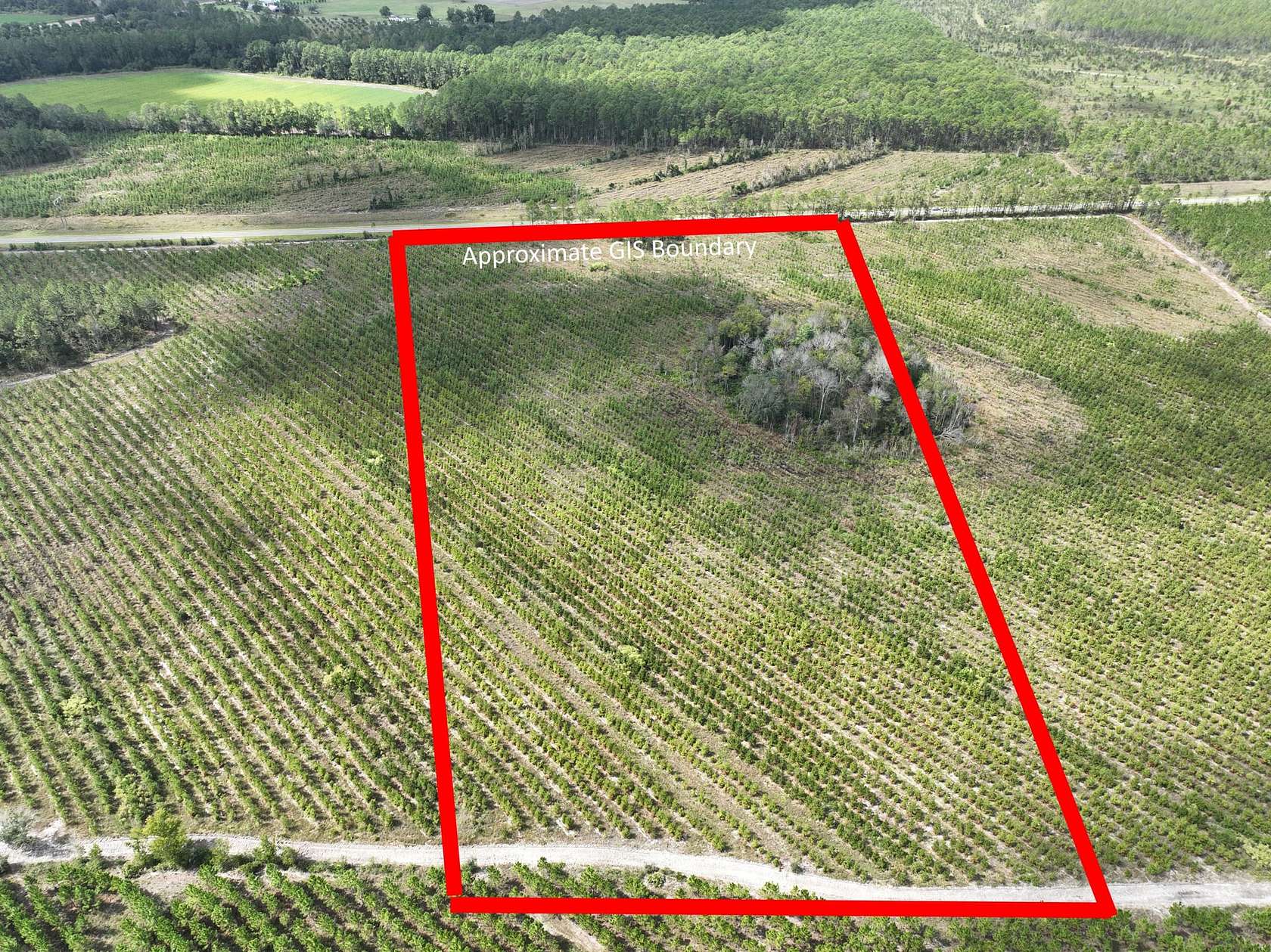 16.4 Acres of Recreational & Residential Land for Sale in Waycross, Georgia