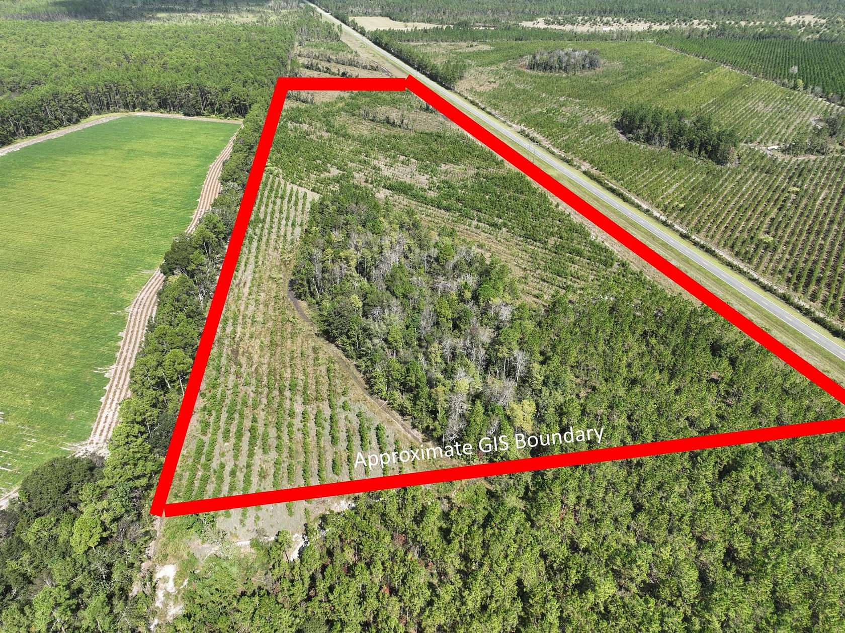 21.8 Acres of Recreational & Residential Land for Sale in Waycross, Georgia