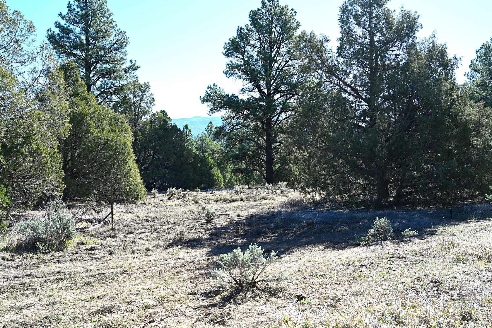 28 Acres of Recreational & Residential Land for Sale in Chama, New Mexico