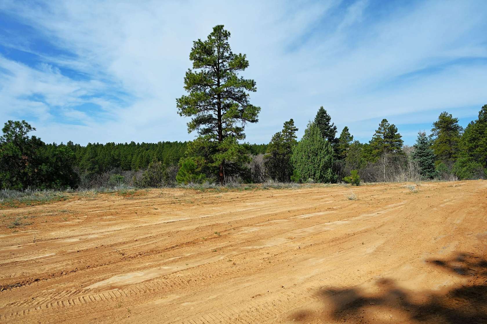 28 Acres of Recreational & Residential Land for Sale in Chama, New Mexico