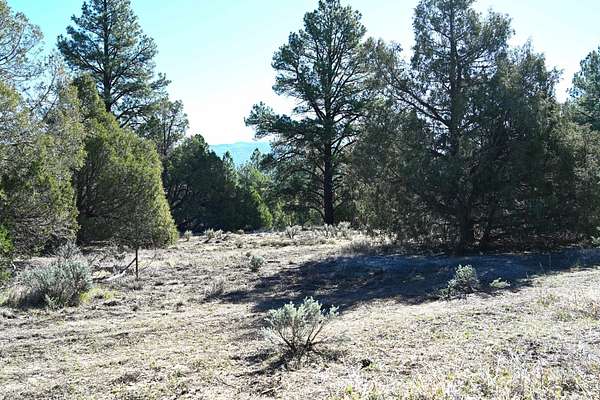 28 Acres of Recreational & Residential Land for Sale in Chama, New Mexico