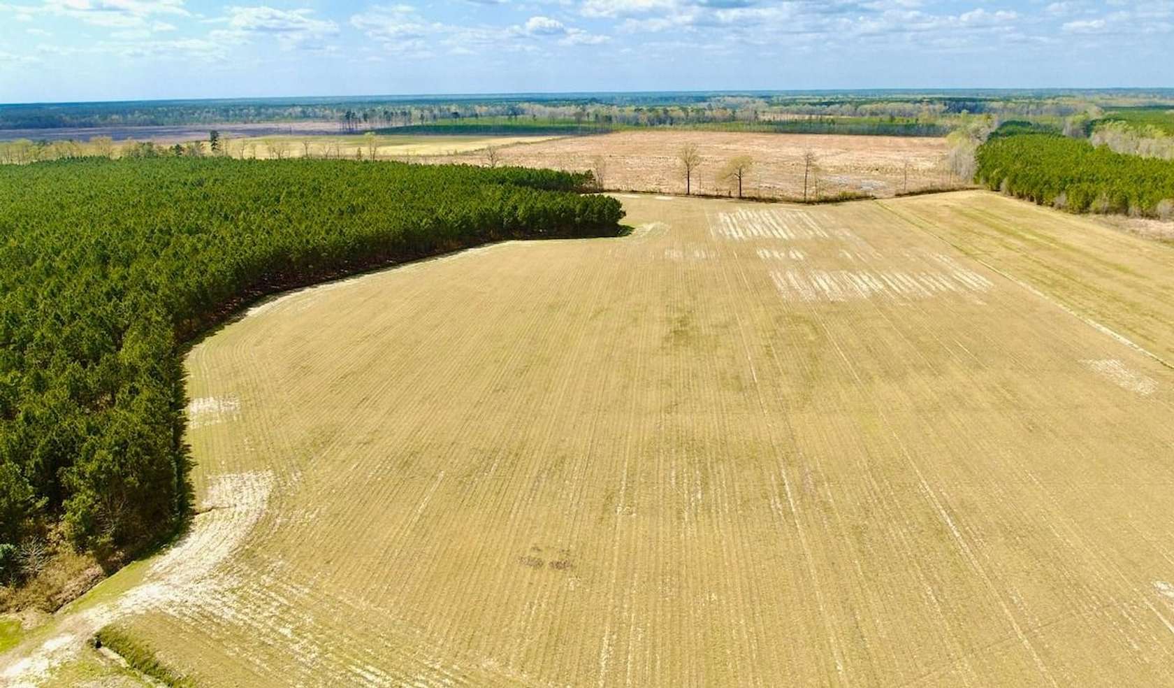 112 Acres of Land for Sale in Gates, North Carolina