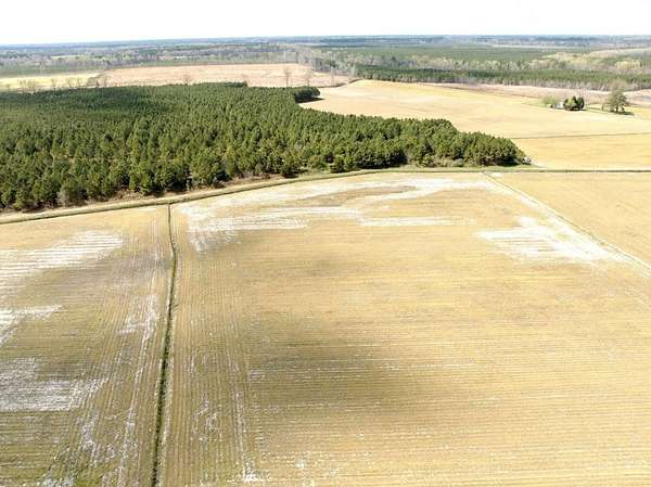 110 Acres of Land for Sale in Gates, North Carolina