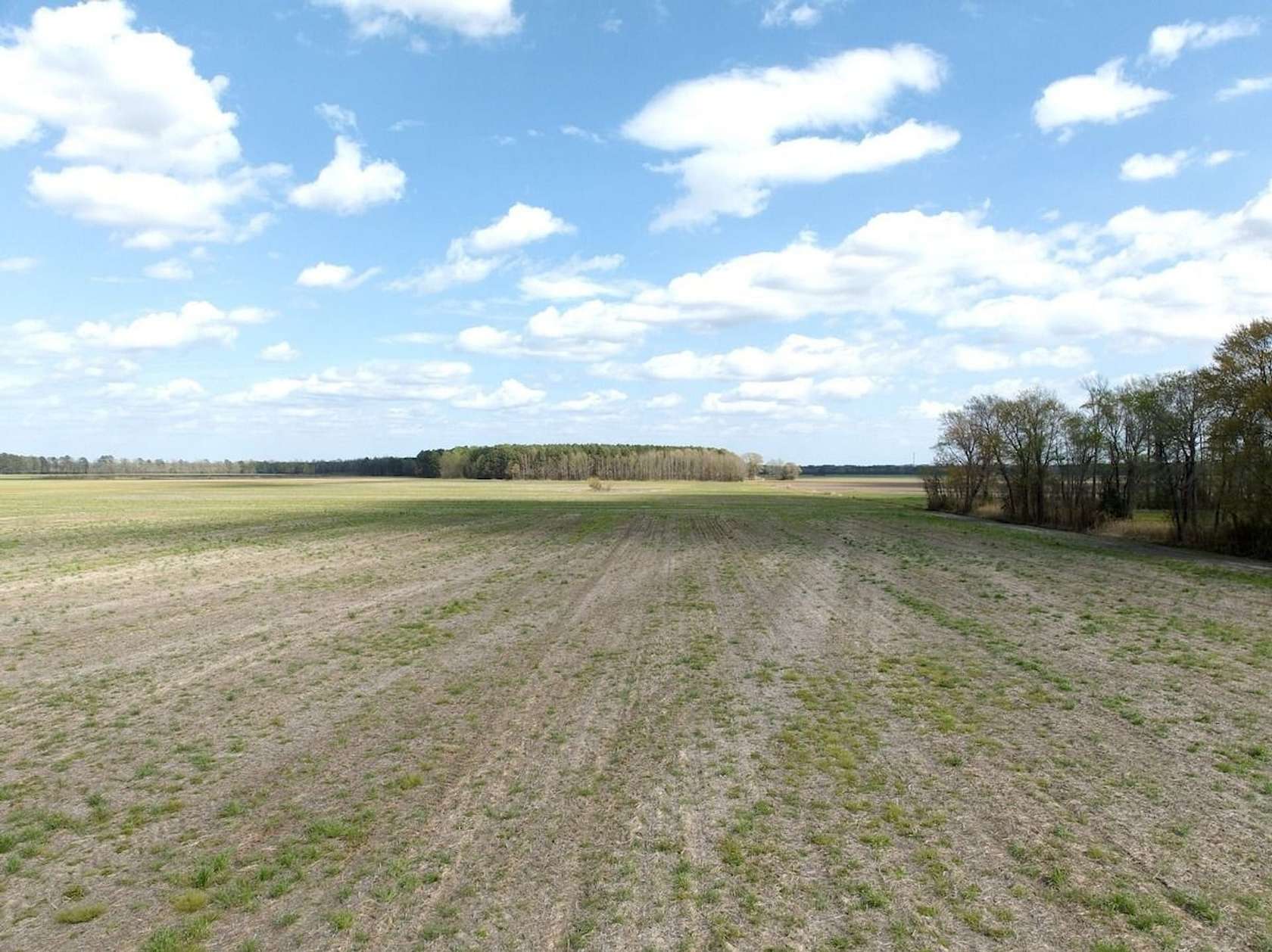 43.2 Acres of Land for Sale in Gates, North Carolina