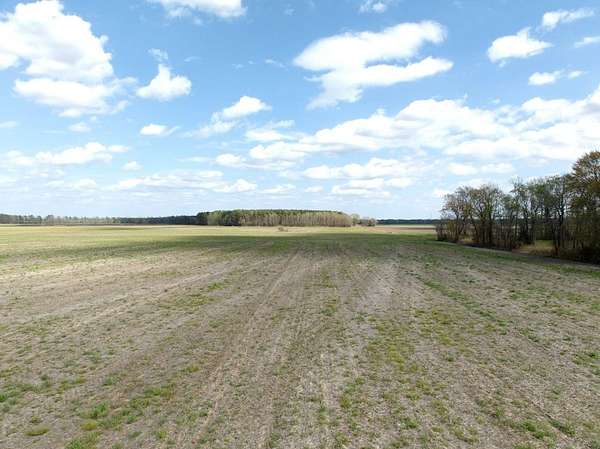 43.2 Acres of Land for Sale in Gates, North Carolina